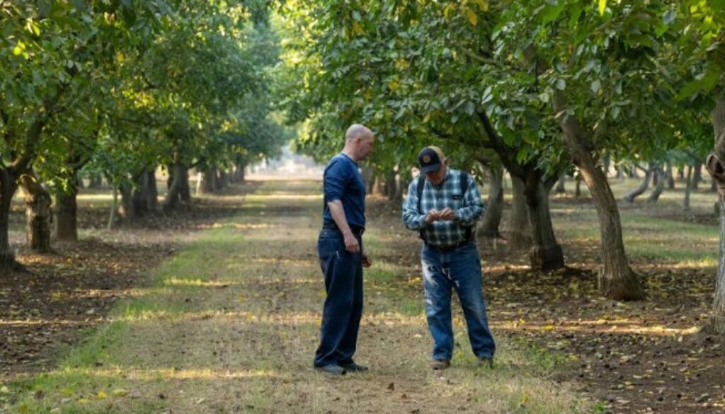 California Walnuts: The Fresh Crop Has Arrived in India = Wellness Within