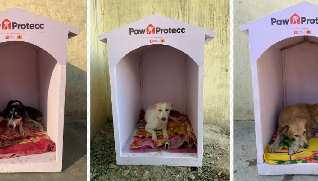 Mars Petcare and Swiggy Instamart Expand Efforts to Provide Winter Shelters for Community Dogs